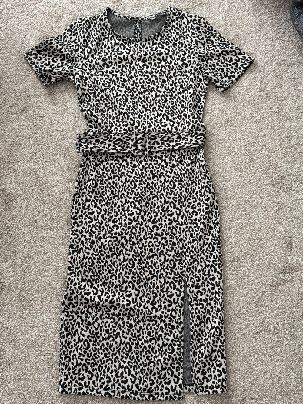 Zara Midi Cheetah Print Dress with Belt